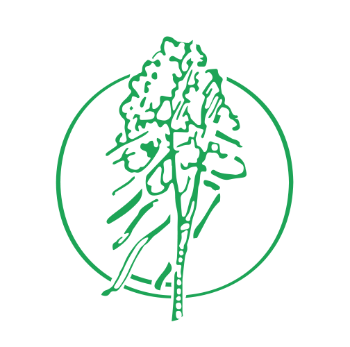 Kentener Maibuben