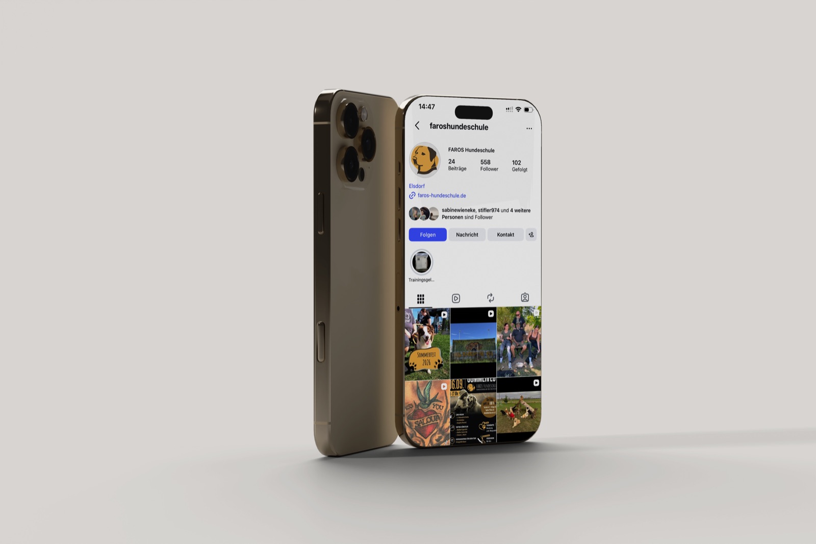 FAROS Hundeschule — der Instagram-Auftritt auf dem Smartphone, Case-Study von digitalbynature