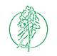 Kentener Maibuben