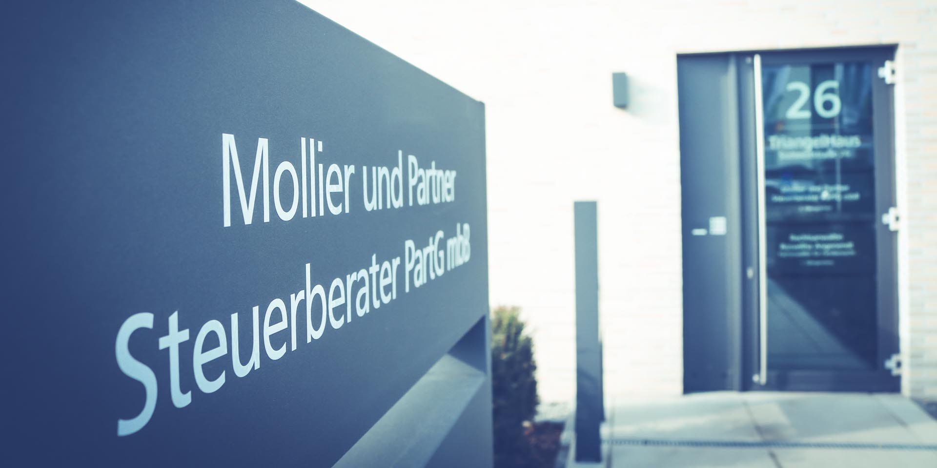 Mollier & Partner